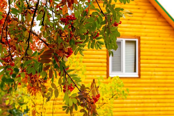 Garden Window Replacement in Spring Branch